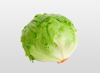 Lettuce