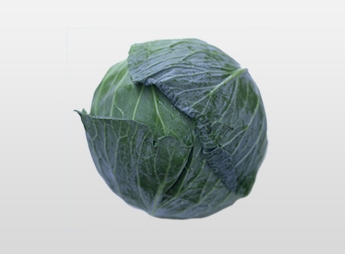 Cabbage